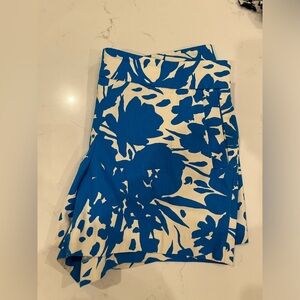 J. Crew Shorts Size 12